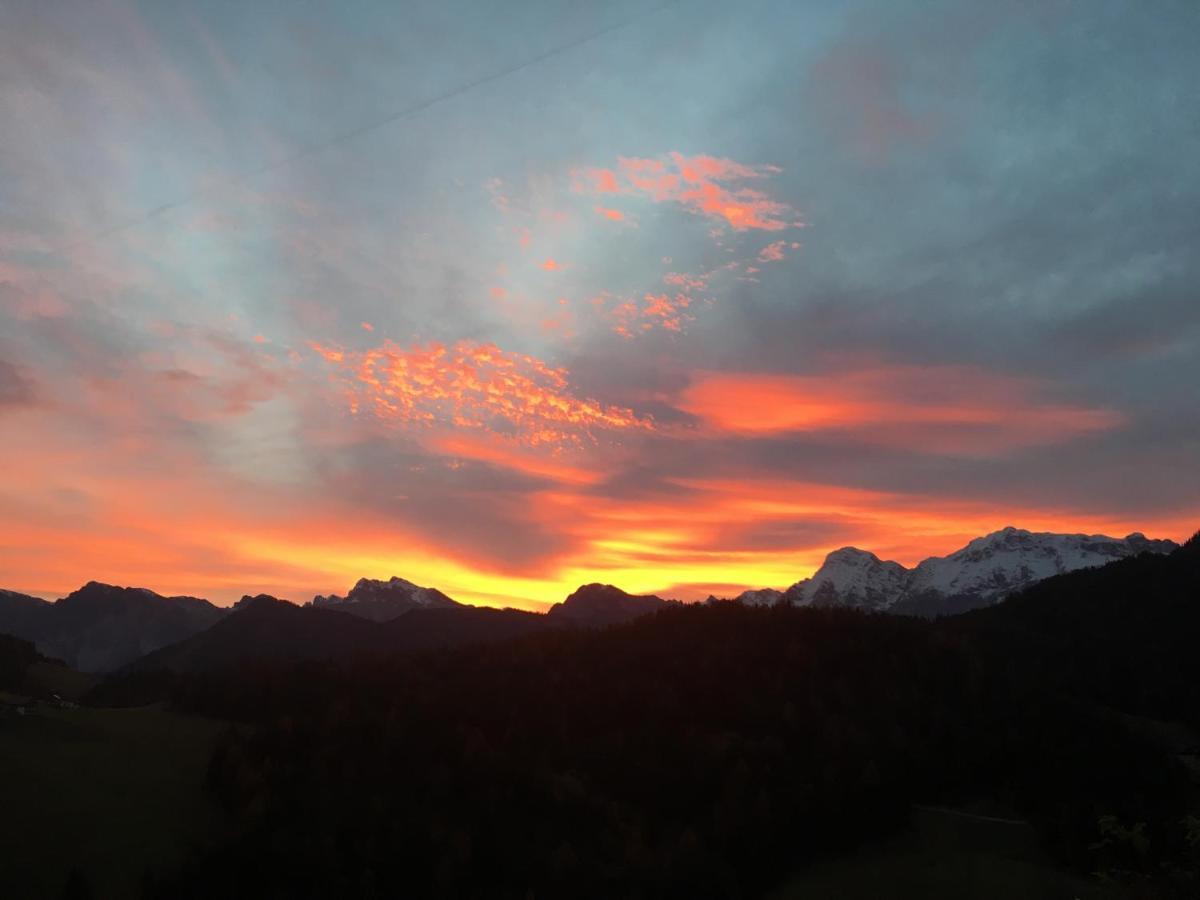 Agriturism Gscnara Lejlighed San Martino in Badia Eksteriør billede
