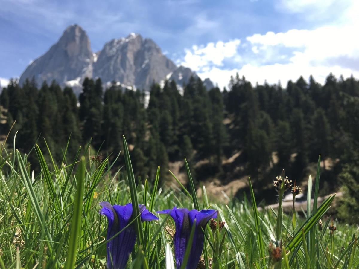 Agriturism Gscnara Lejlighed San Martino in Badia Eksteriør billede